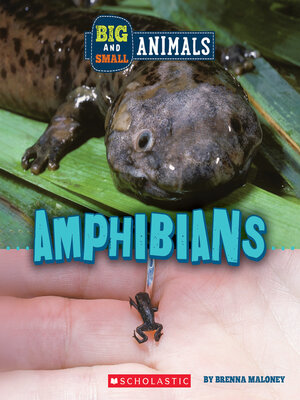 cover image of Amphibians (Wild World